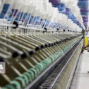 هدف پروژه اسپانیایی تولید ۲۴ میلیون جفت در سال است