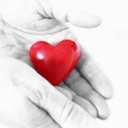 مراقب قلب دوم خود باشید