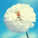 «چتر» باشیم یا «پانچو» بدهیم؟