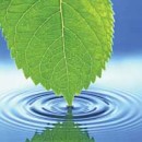 تمرکز بر توانمندی‌ها رمز رشد بلندمدت