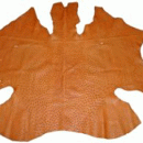 از مزرعه تا فروشگاه