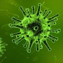 تاثیرات همه گیری کرونا