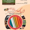 شما کدام هستید: باب اسفنجی یا اختاپوس؟