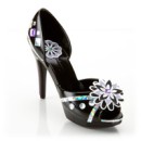 تاریخ سیاسی کفش