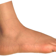 استخوان‎های پا در زمستان نیاز به محافظت دارند