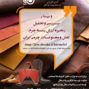 وبینار تخصصی بررسی و تحلیل زنجیره ارزش رسته چرم، کفش و مصنوعات چرمی ایران برگزار می شود